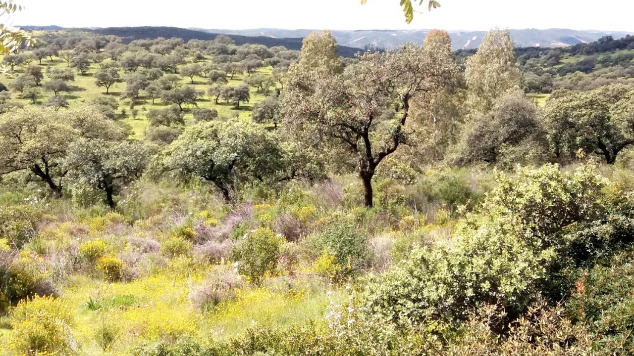 Casa Rural La Aulaga El Castillo de las Guardas Eksteriør bilde